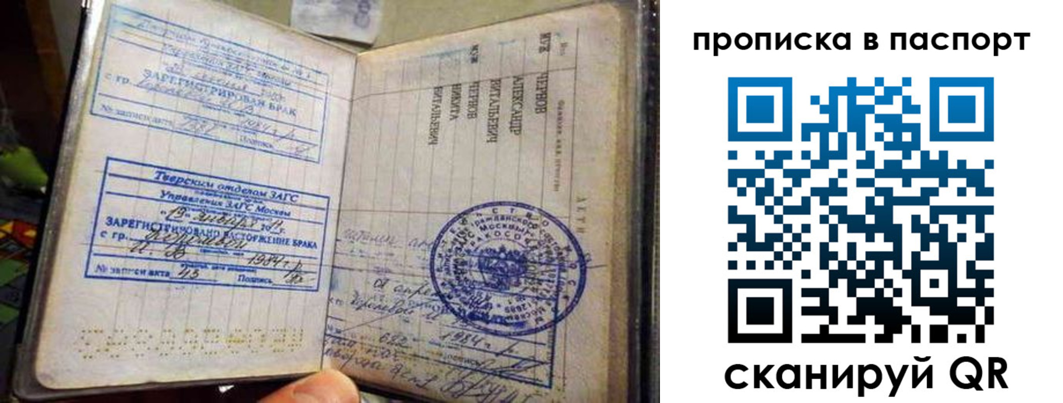 прописка поиск в Шатуре